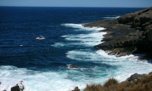 Zdjecie AUSTRALIA / KANGAROO ISLAND / BASEN POLUDNIOWOAUSTRALIJSKI / malenki na wielkich wodach...
