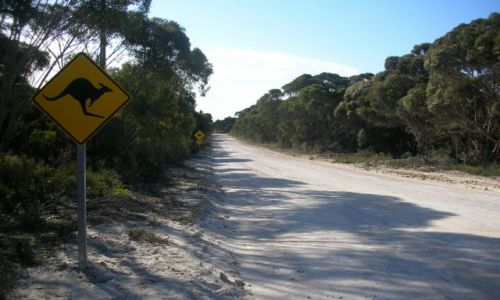 Zdjecie AUSTRALIA / brak / DROGI POZA MIASTEM / obowiazujace znaki drogowe.....