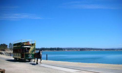 Zdjecie AUSTRALIA / brak / VICTOR HARBOR / tramwajem konnym na wyspe...
