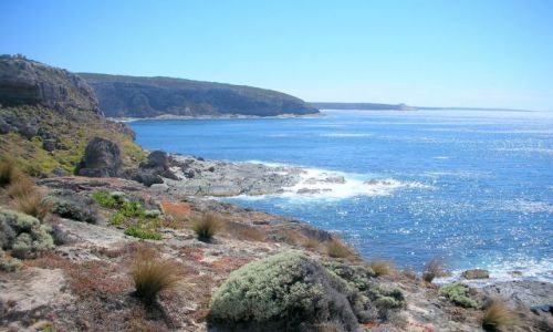 Zdjęcie AUSTRALIA / brak / Kangaroo Island / urokliwy brzeg wyspy
