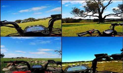 Zdjęcie AUSTRALIA / West Australia / Kojonup / australia from bike