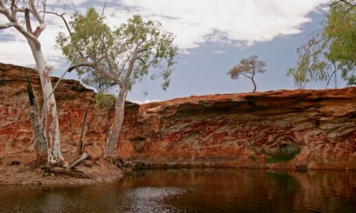 Zdjecie AUSTRALIA / Outback / ok. Cobra Station / Oaza