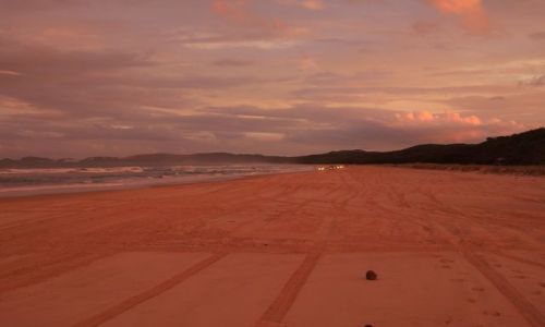 Zdjecie AUSTRALIA / Fraser Island / Fraser Island / Fraser Island - najwiksza wyspa piaszczysta na wiecie