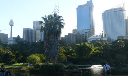 Zdjecie AUSTRALIA / NSW / Sydney / Moje Sydney