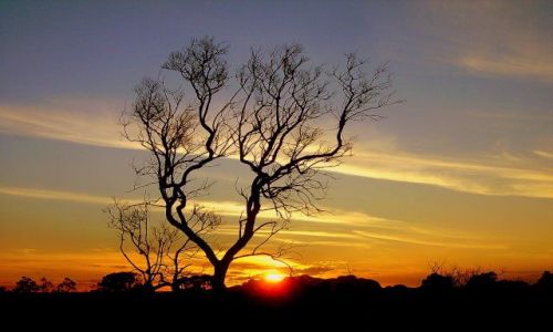 Zdjecie AUSTRALIA / środkowa Australia / okolice Ayers Rock / zachód słońca nad Kata Tjuta