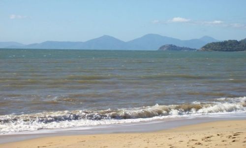 Zdjęcie AUSTRALIA / Queensland / Palm Cove / Plaża w Palm Cove