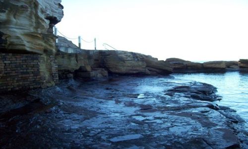Zdjęcie AUSTRALIA / NSW / Coogee / Formacje skalne w Coogee