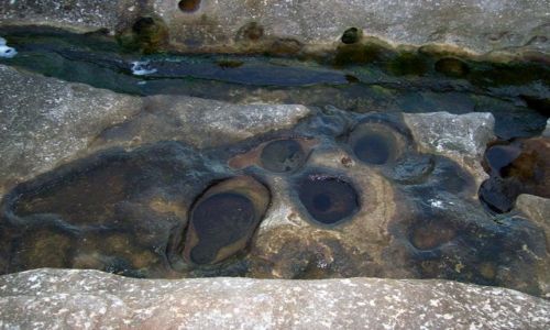 Zdjęcie AUSTRALIA / NSW / Coogee / Oczka wodne w skałach