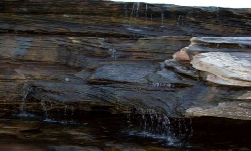 Zdjęcie AUSTRALIA / NSW / Coogee / Formacje skalne w Coogee