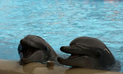 Zdjęcie AUSTRALIA / - / Coffs Harbour / pogoda ducha