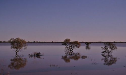 Zdjęcie AUSTRALIA / - / w drodze do Broken Hill / w drodze do Broken Hill