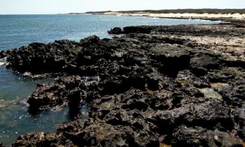 Zdjęcie AUSTRALIA / Ningaloo NP / Tyrquoise Bay / Łagodna kraina
