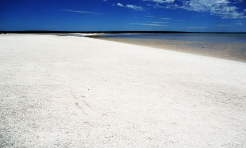 Zdjecie AUSTRALIA / Shark Bay / Shell Beach / Pierdylion biaych muszelek