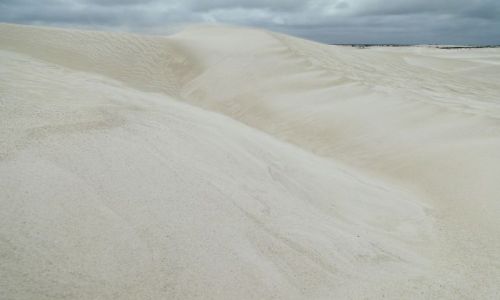 Zdjcie AUSTRALIA / Australia Zachodnia / Lancelin / Gry piachu