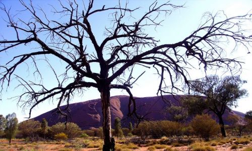 Zdjecie AUSTRALIA / rodkowa Australia / Ayers Rock / inne spojrzenie na Uluru
