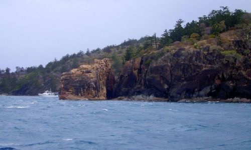 Zdjęcie AUSTRALIA / południowo-wschodnia Australia / Whitsunday Islands / nurkowanie przy Whitsunday Island