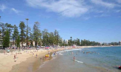 Zdjcie AUSTRALIA / NSW / Manly / Manly Beach