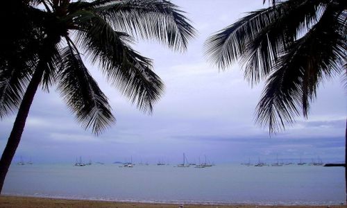 Zdjęcie AUSTRALIA / południowo-wschodnia Australia / Airlie Beach / zatoka w Airlie Beach