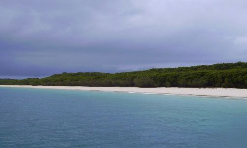 Zdjęcie AUSTRALIA / południowo-wschodnia Australia / Whitsunday Islands / Whitehaven Beach
