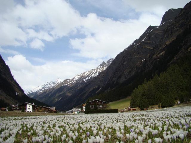 Zdjęcia: Dolina Pitztal, Tyrol, wiosna, AUSTRIA Zdjęcia: Dolina Pitztal, Tyrol, wiosna, AUSTRIA