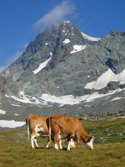 Zdjęcia: okolice Grossglockner, Taury Wielkie, milki, AUSTRIA Zdjęcia: okolice Grossglockner, Taury Wielkie, milki, AUSTRIA