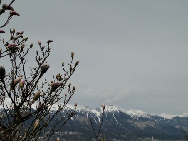 Zdjęcia: Innsbruck, Tyrol, spod Bergisel die Olimpiaschanze, AUSTRIA Zdjęcia: Innsbruck, Tyrol, spod Bergisel die Olimpiaschanze, AUSTRIA