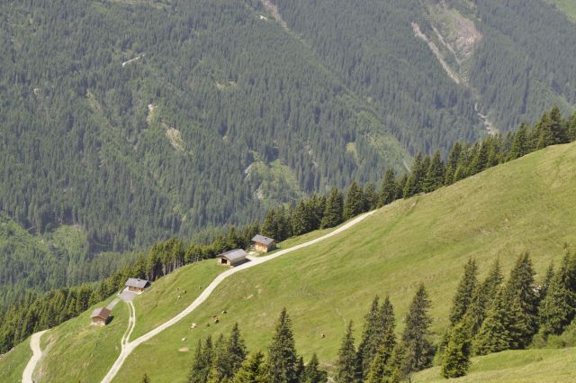 Zdjęcia: Kitzbüheler Horn-2000 m., Tyrol, dolinka, AUSTRIA Zdjęcia: Kitzbüheler Horn-2000 m., Tyrol, dolinka, AUSTRIA