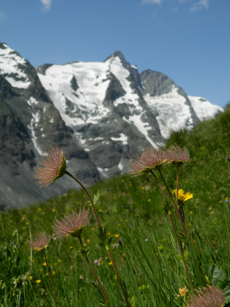 Zdjęcia: droga alpejska nr 107, Tirol, w oddali Grossglockner , AUSTRIA Zdjęcia: droga alpejska nr 107, Tirol, w oddali Grossglockner , AUSTRIA