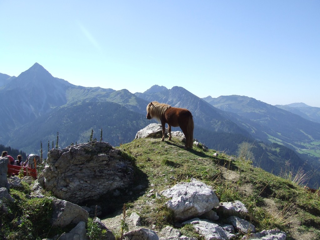 Zdjęcia: Tannheim, Tyrol, W Alpach, AUSTRIA Zdjęcia: Tannheim, Tyrol, W Alpach, AUSTRIA