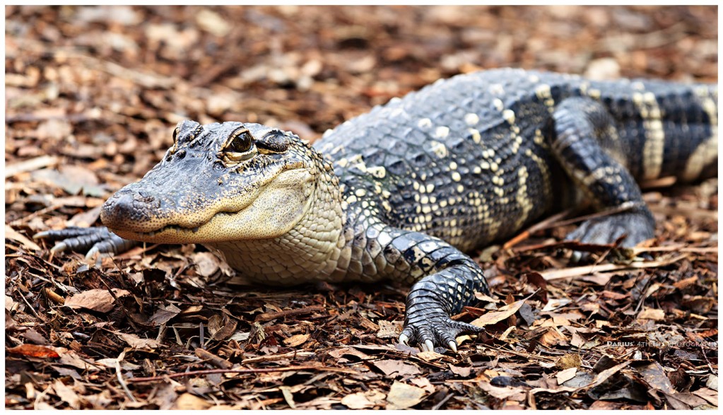 Zdjęcia: Calga Springs, Sydney, See U Later, AUSTRALIA Zdjęcia: Calga Springs, Sydney, See U Later, AUSTRALIA