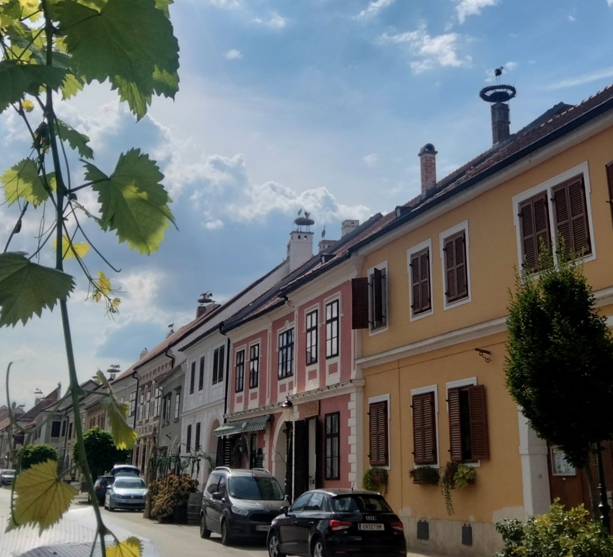 Zdjęcia: Rust, Dolna Austria, Miasto wina i bocianów, AUSTRIA Zdjęcia: Rust, Dolna Austria, Miasto wina i bocianów, AUSTRIA