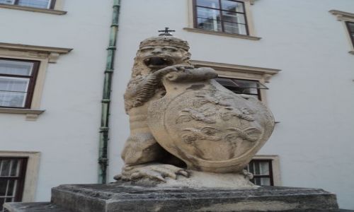 Zdjecie AUSTRIA / - / Austria / Wiede IV