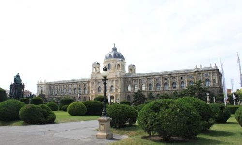 Zdjcie AUSTRIA / - / Wiede / Muzeum