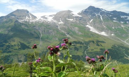 Zdjcie AUSTRIA / alpy / droga alpejska nr 107 / Alpy okolice Glossglockner