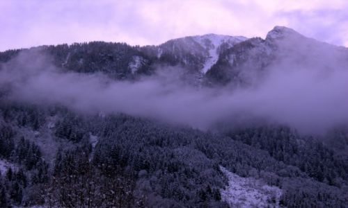 Zdjęcie AUSTRIA / Alpy / Embach / we mgle