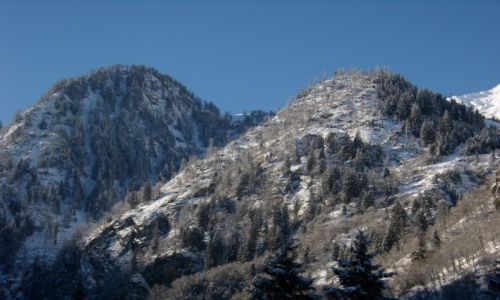 Zdjęcie AUSTRIA / Alpy / Zell am See / pagórki