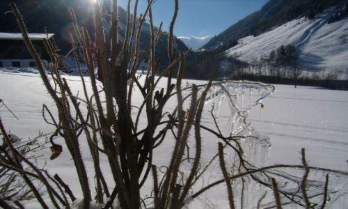 Zdjęcie AUSTRIA / Alpy / Zell am See / w szkle