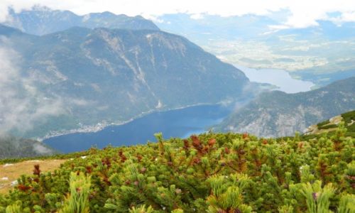 Zdjecie AUSTRIA / ok salzburga / poniej lodowca dachstein  / widok na Hallstatter see