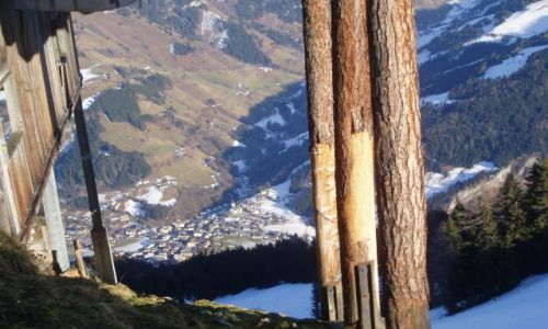 Zdjęcie AUSTRIA / Alpy / Bad Gastein / Widoczek z góry