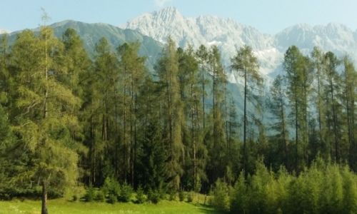 Zdjecie AUSTRIA / Tyrol / Przecz Alberga / Przecz Alberga