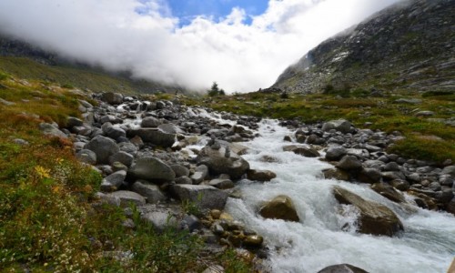 Zdjecie AUSTRIA / Zilertal / Berliner Hte / Gzie na szlaku
