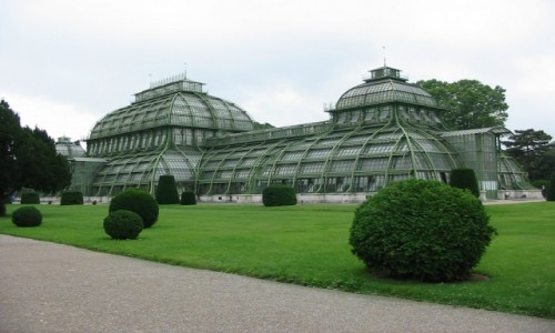 Zdjęcie AUSTRIA / Wiedeń / Schonbrunn / Palmiarnia