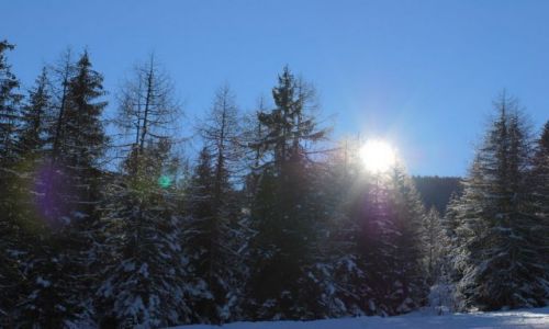 Zdjęcie AUSTRIA / KRAJ SALZBURSKI / Embach / Widoczek 5