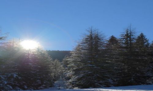 Zdjęcie AUSTRIA / KRAJ SALZBURSKI / Embach / Widoczek 6