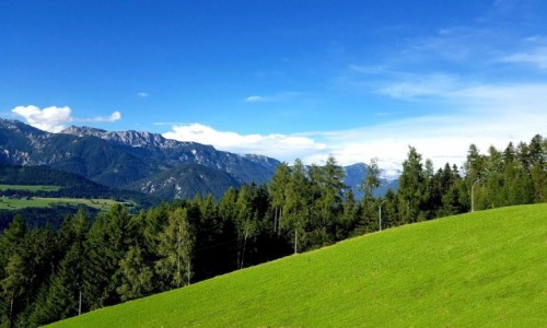 Zdjecie AUSTRIA / kraj zwizkowy Styria / Schladming / Jeden z wielu stokw narciarskich.