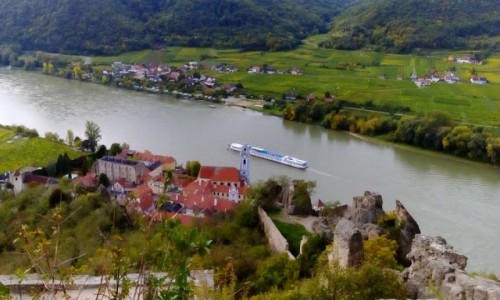Zdjcie AUSTRIA / Dolina Wachau / Drnstein  / Widok na Drnstein 