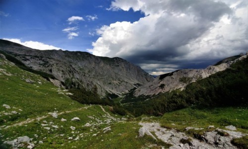 Zdjęcie AUSTRIA / alpy / hochschwab / w drodze na szczyt góry