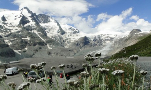Zdjcie AUSTRIA / Karyntia / Wysokie Taury / Z widokiem na Grossglockner.