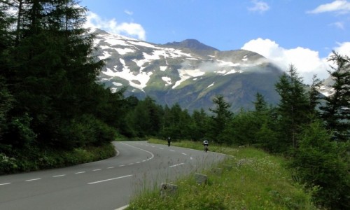 Zdjcie AUSTRIA / Kraj Salzburski / Grossglockner Hochalpenstrasse / Alpejskie lato