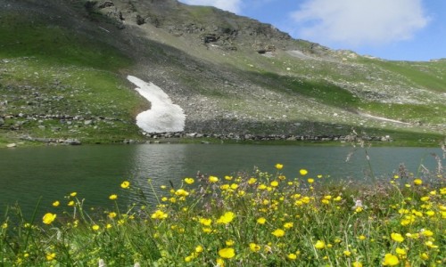 Zdjcie AUSTRIA / Kraj Salzburski / Park Narodowy Wysokie Taury / Lato w Alpach
